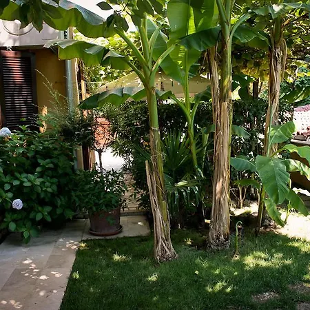 Dolores Apartment