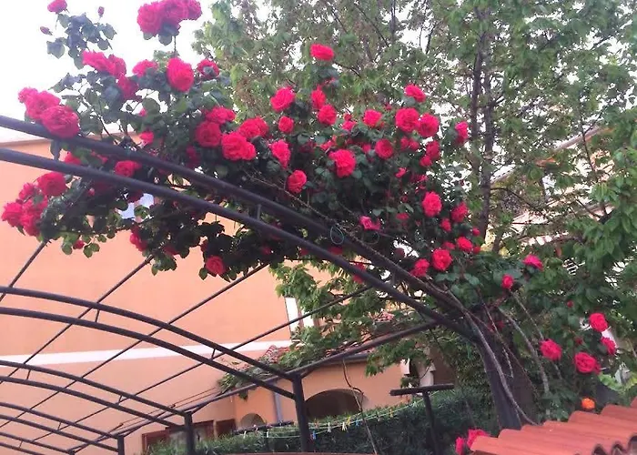 Dolores * Ρόβινι